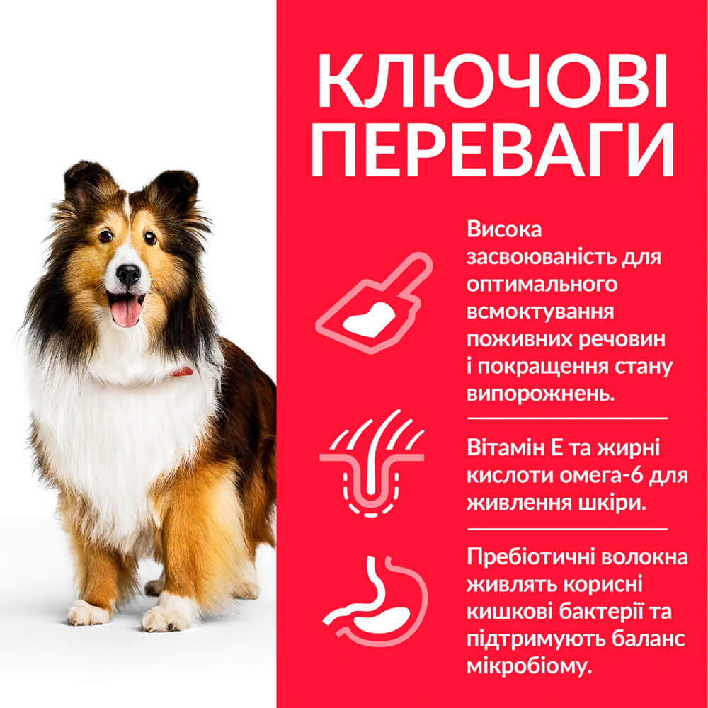 Сухий корм для дорослих собак середніх порід Hill’s Science Plan Adult Sensitive Stomach&Skin Medium Breed, при чутливому шлунку та шкірі, з куркою, 14 кг (604385) - фото 4