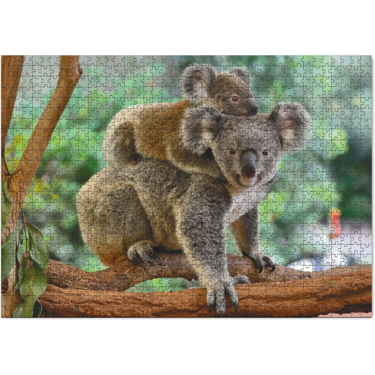 Пазл DoDo Маленькая коала с мамой, 1000 элементов (301183) - фото 2