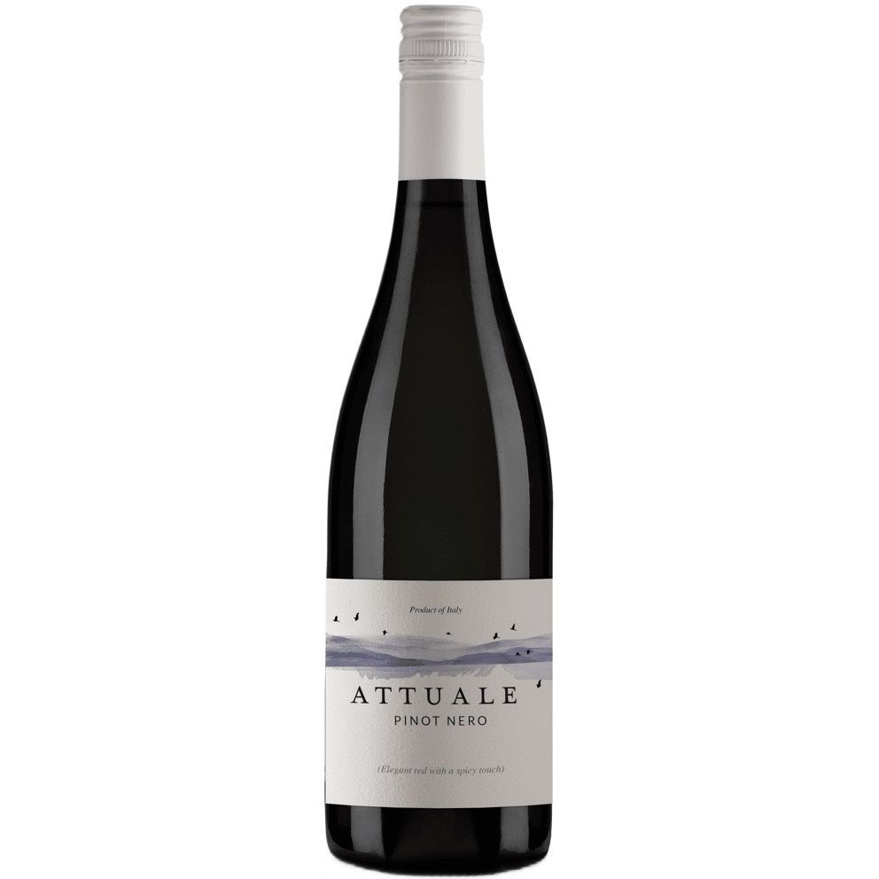 Вино Attuale Pinot Nero Provincia di Pavia IGT 2021 червоне сухе 12.5% 0.75 л - фото 1