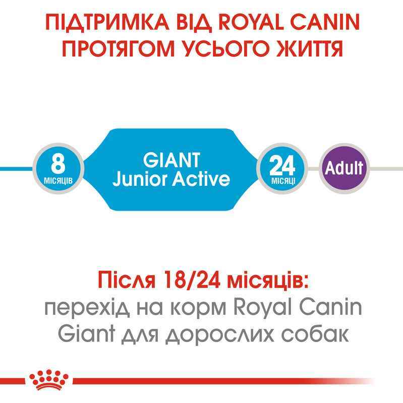 Сухий корм для цуценят гігантських порід від 8 до 24 місяців з підвищеною активністю Royal Canin Giant Junior Active, 15 кг (3042150) - фото 8