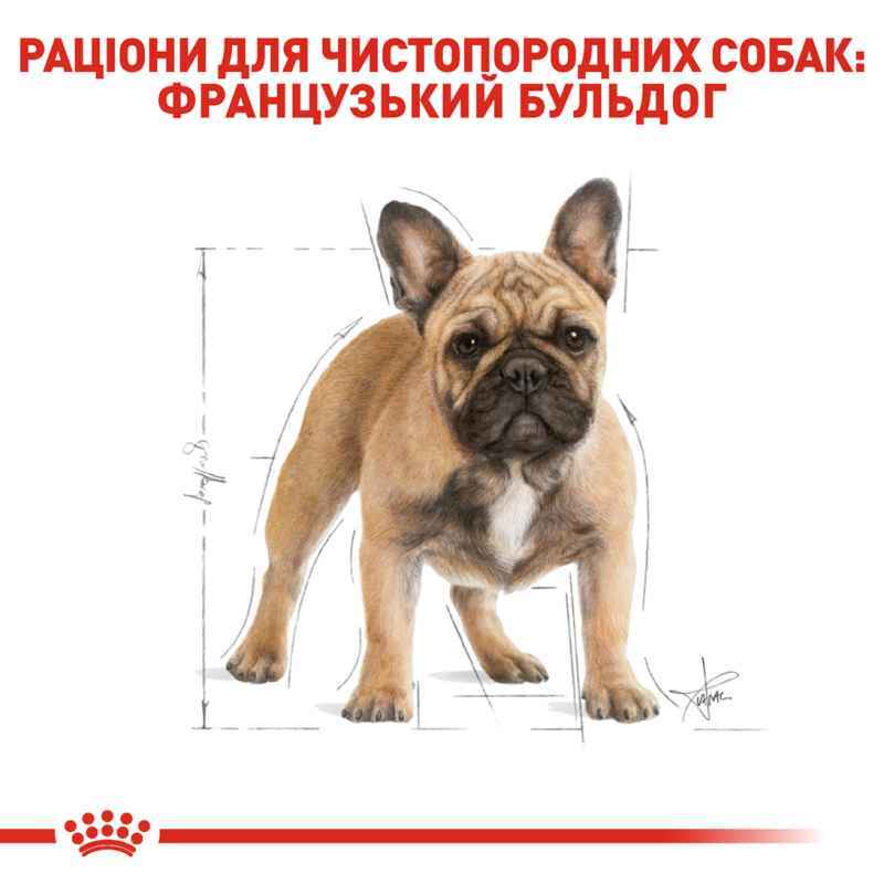 Сухий корм для дорослих собак породи Французький Бульдог Royal Canin French Bulldog Adult, 9 кг (3991090) - фото 2