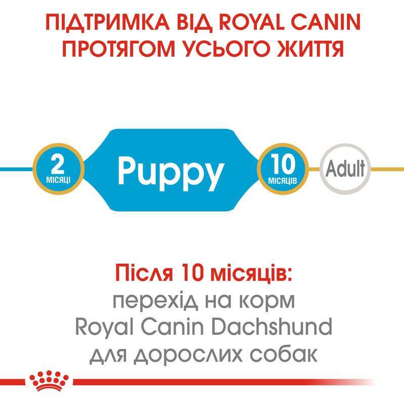 Сухий корм для цуценят породи Такса Royal Canin Dachshund Puppy, 1,5 кг (24370151) - фото 8