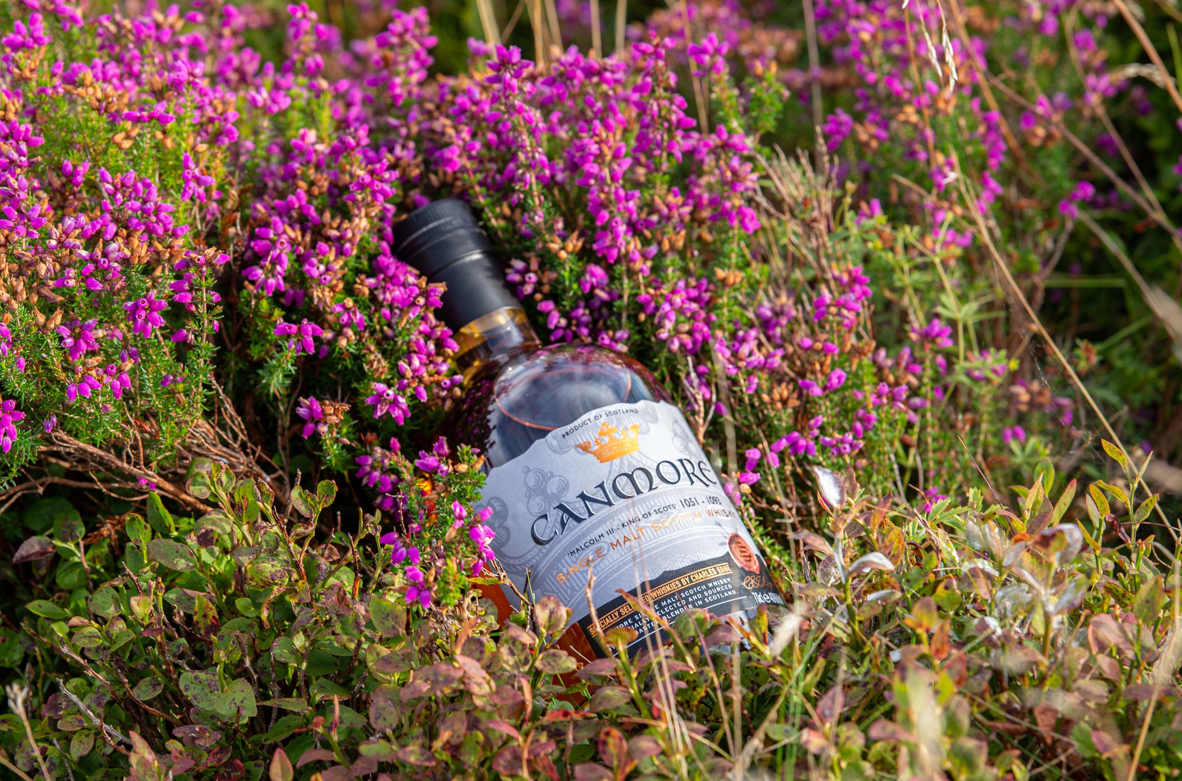 Віскі Canmore Single Malt Scotch Whisky 40% 0.7 л у подарунковій упаковці - фото 4