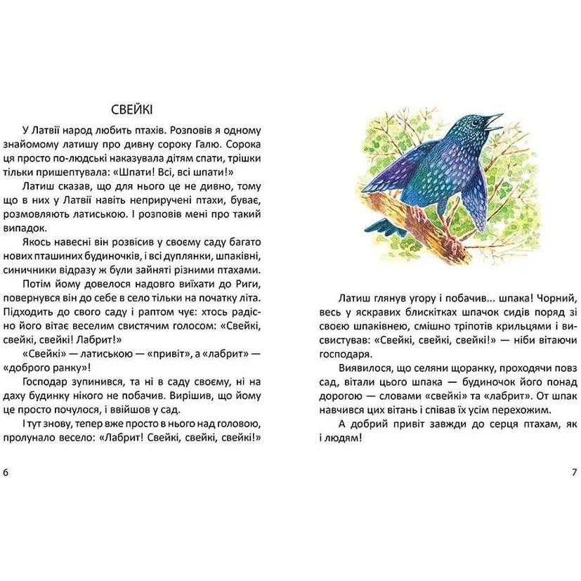 Дитяча книга Талант Завтра до школи Малятам про звірят - Борзова В. В. (9789669352453) - фото 7