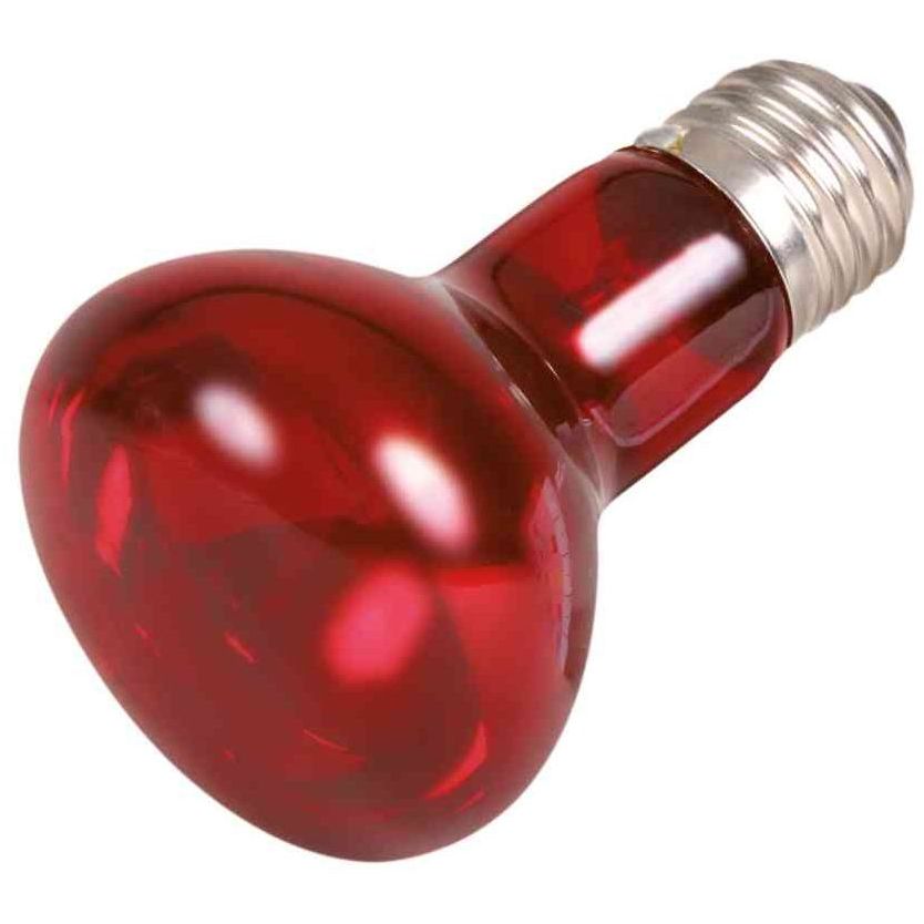 Лампа Trixie Reptiland для террариума инфракрасная, 35 W, E27 - фото 1