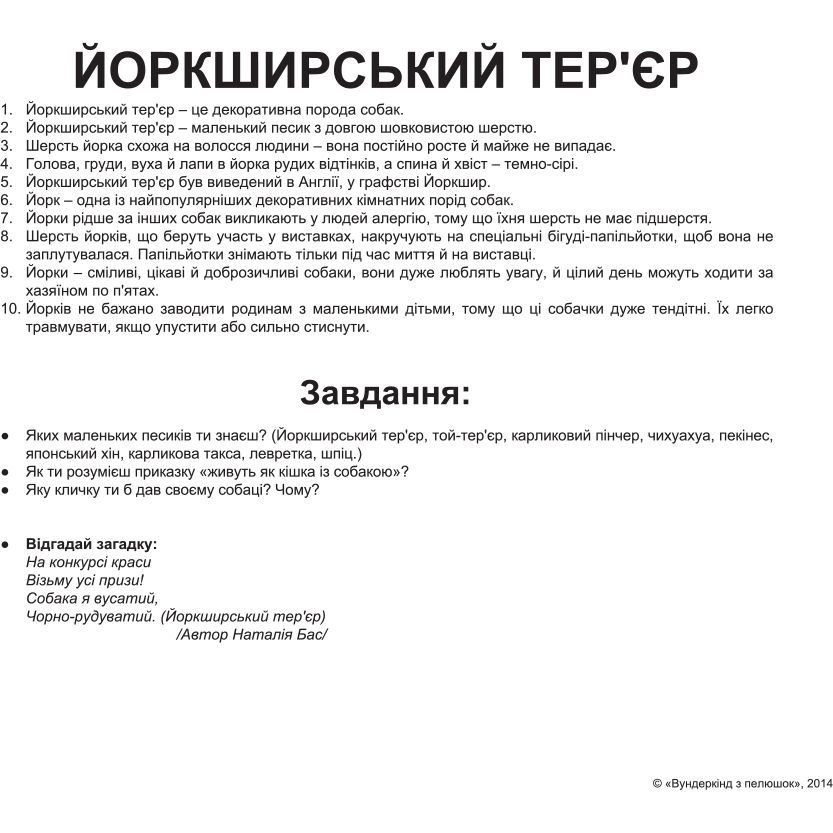 Набір карток Вундеркінд з пелюшок Породи собак, 20 карток, укр. мова (2100064095764) - фото 4