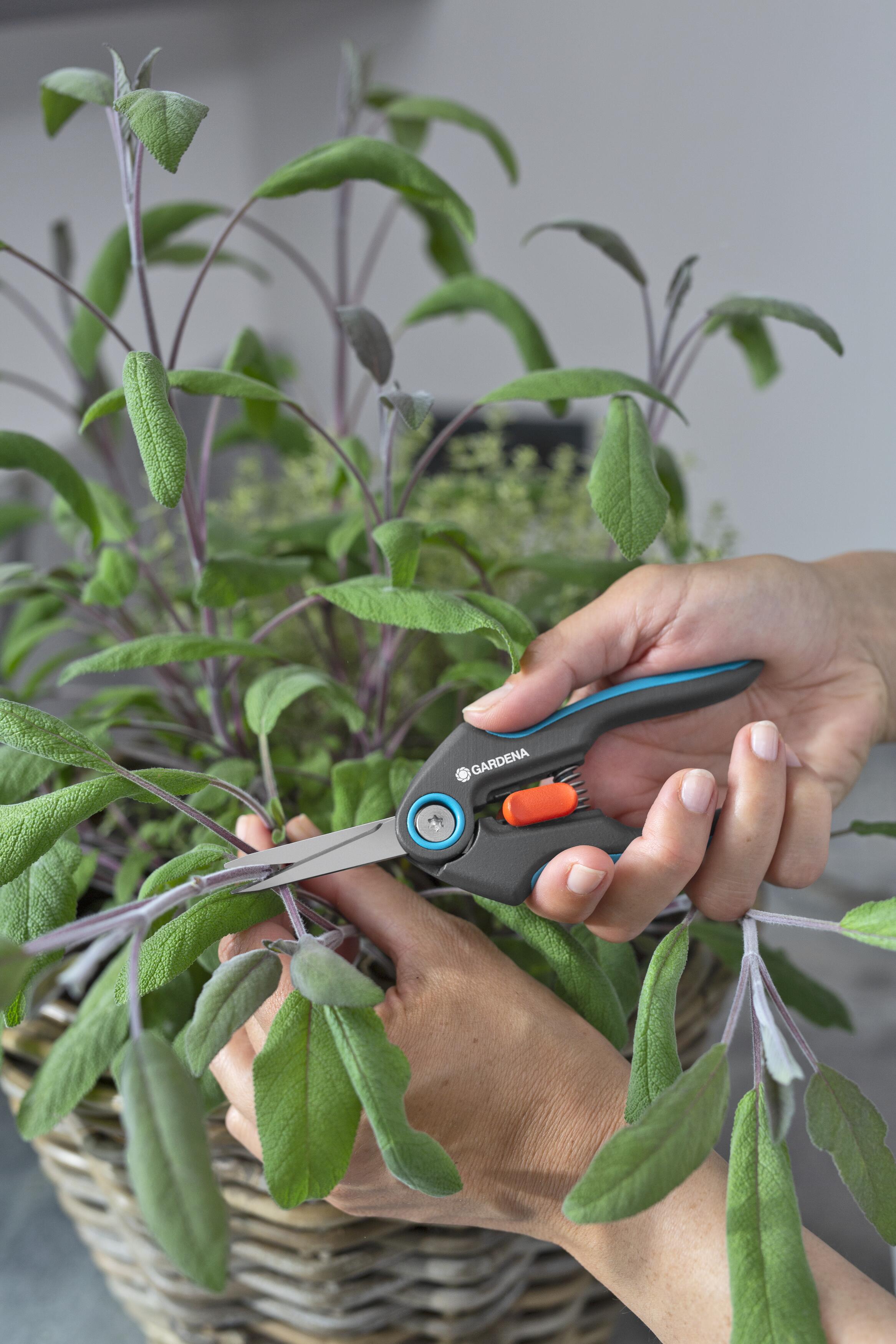 Ножницы Gardena FreshCut для травы и цветов (12212-20.000.00) - фото 11