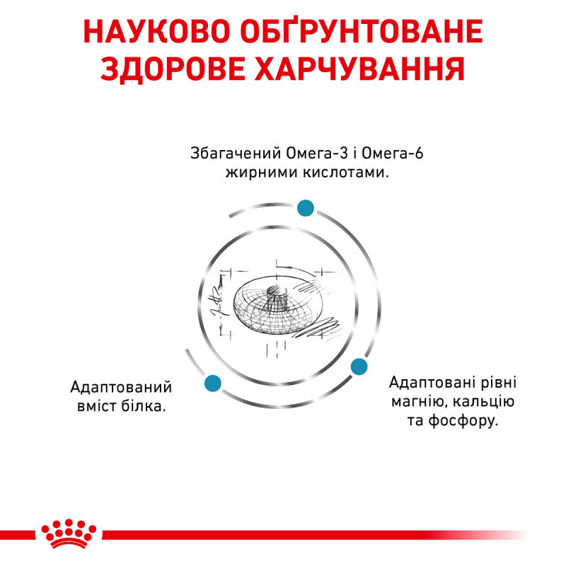 Сухой диетический корм Royal Canin Skin&Coat для кошек после стерилизации при дерматозе и выпадении шерсти, 1,5 кг (1323015) - фото 6