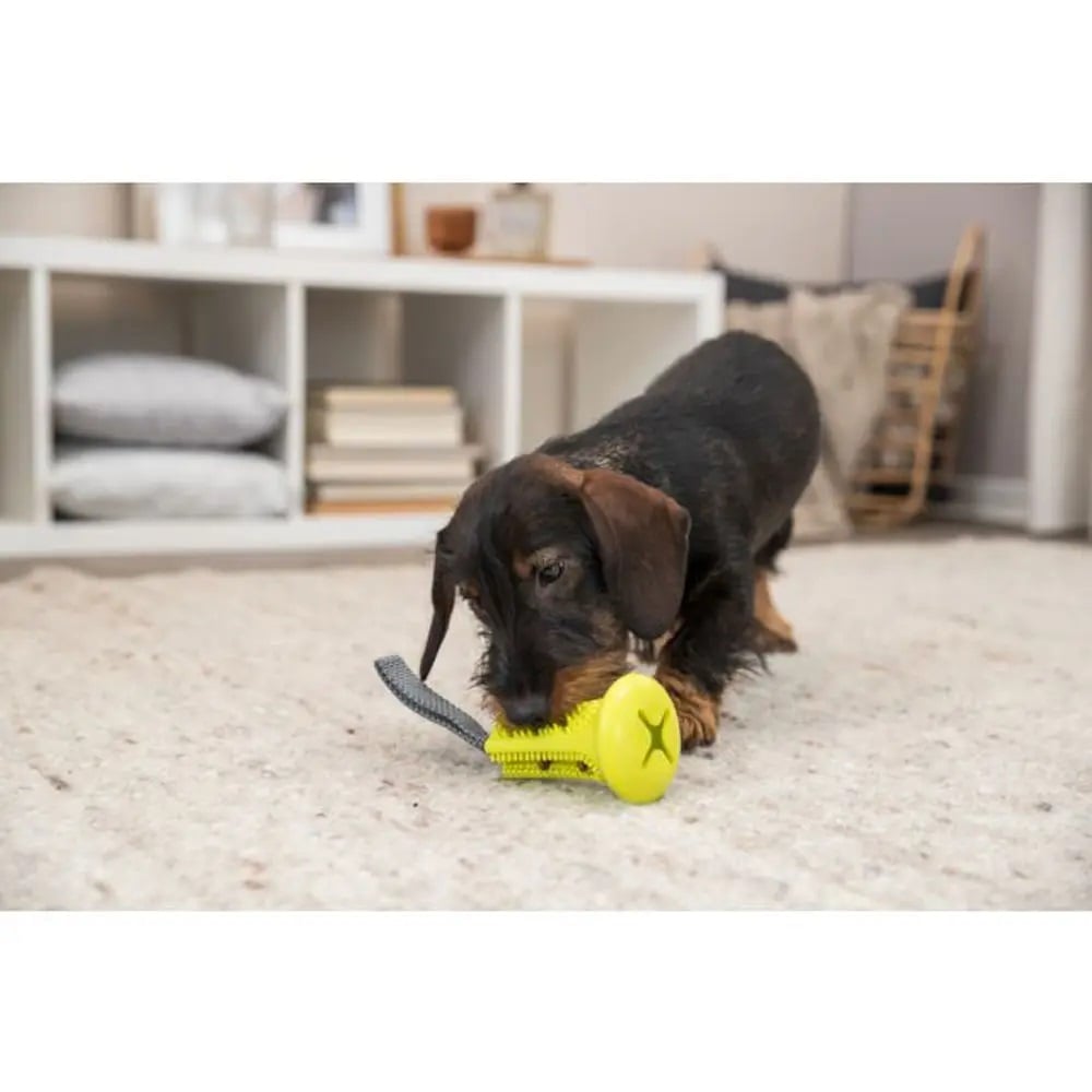 Игрушка для собак Trixie Колокольчик для лакомств, 11 см / 22 см, в ассортименте (33412) - фото 6