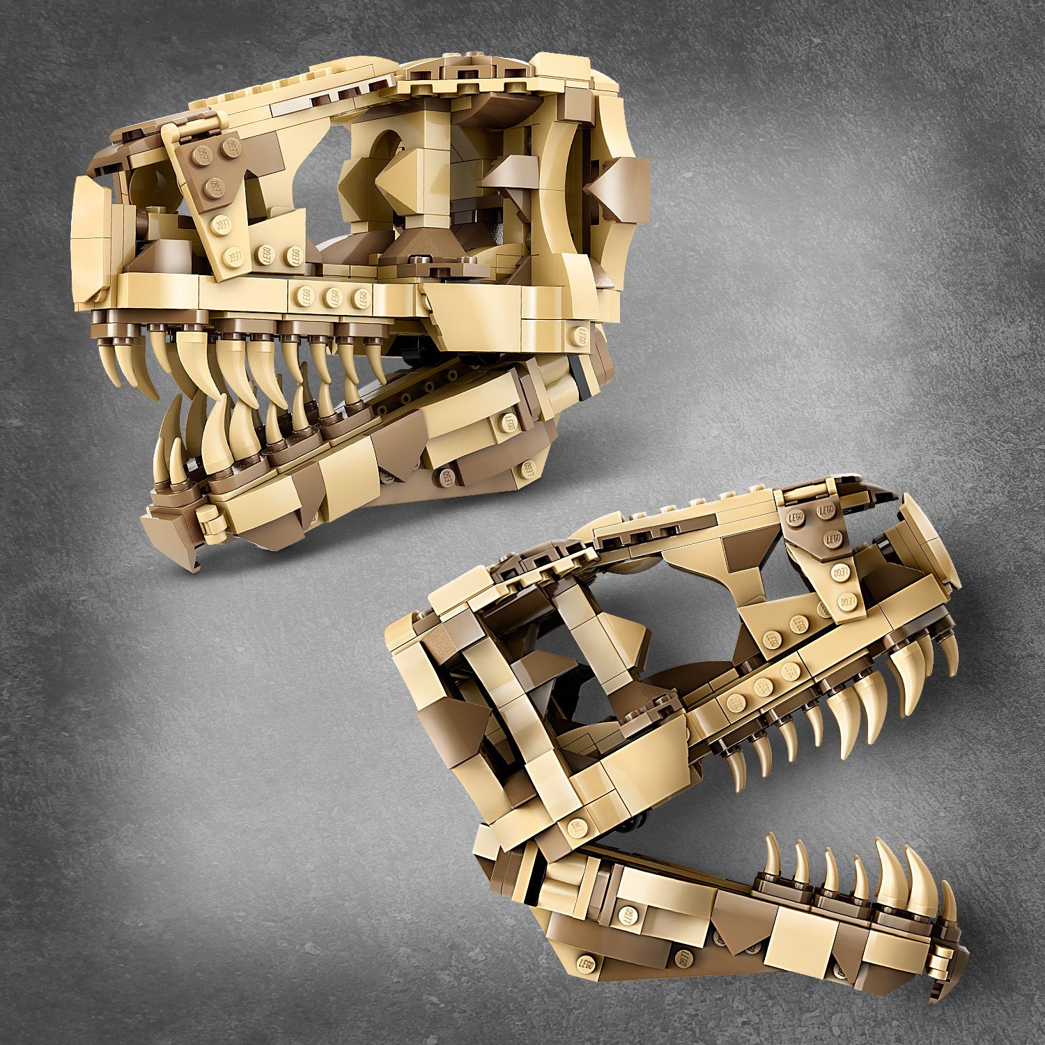 Конструктор LEGO Jurassic World Окаменелости динозавров: череп тираннозавра 577 детали (76964) - фото 6