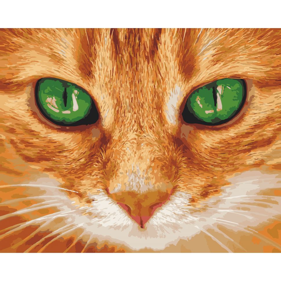 Картина за номерами ArtCraft Зелені очі 40x50 см (11620-AC) - фото 1