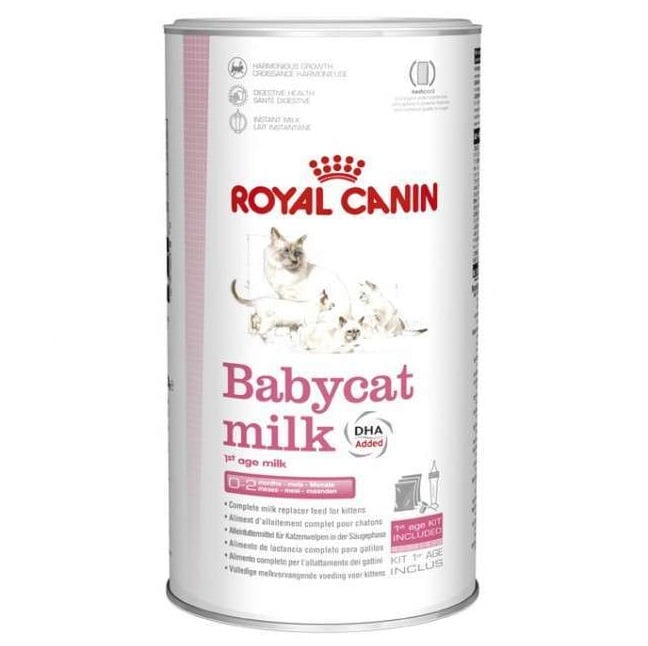 Заменитель молока для котят Royal Canin Babycat Milk, 300 г (25530039) - фото 1