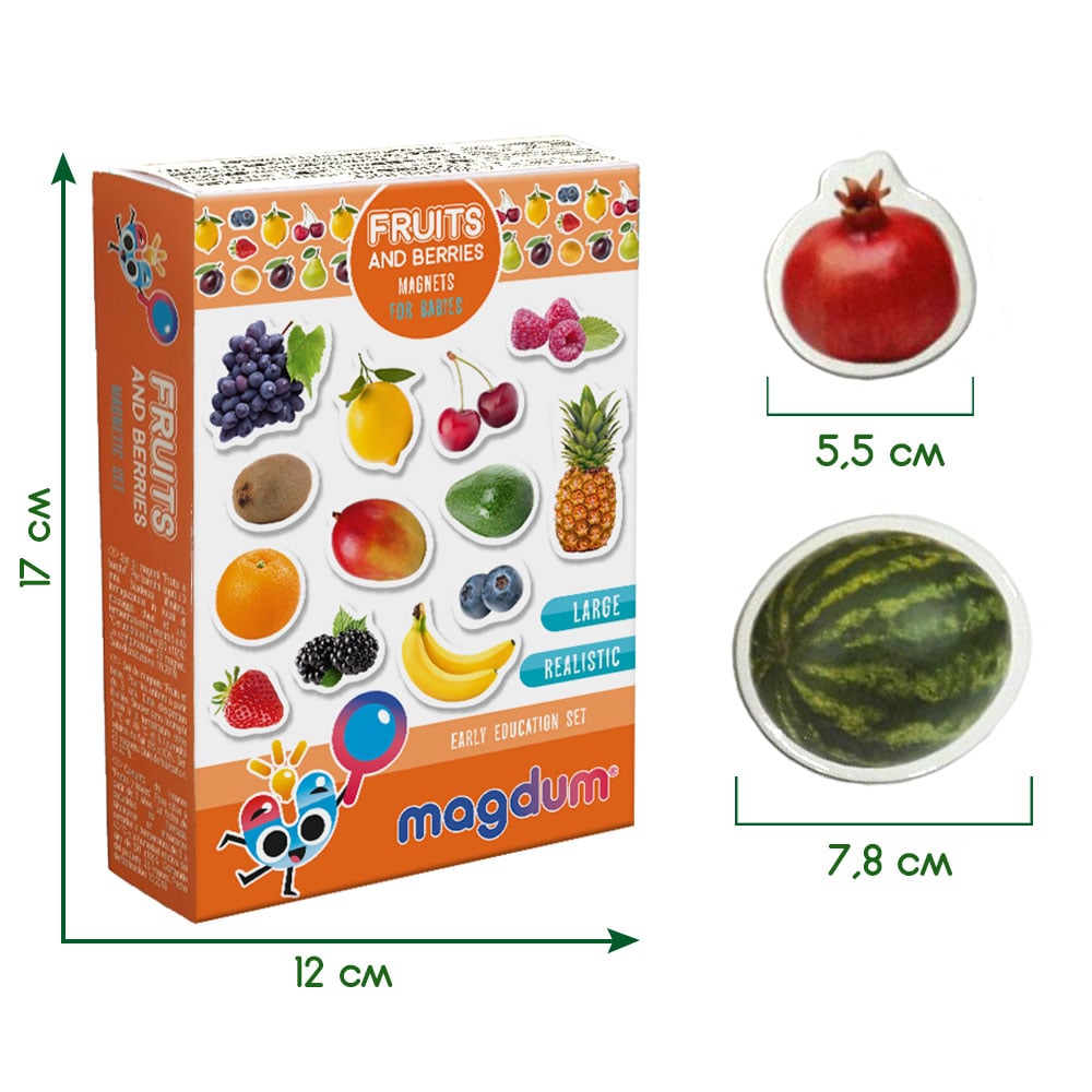 Магнитный набор Magdum Фрукты и ягоды (ML4031-11) - фото 6