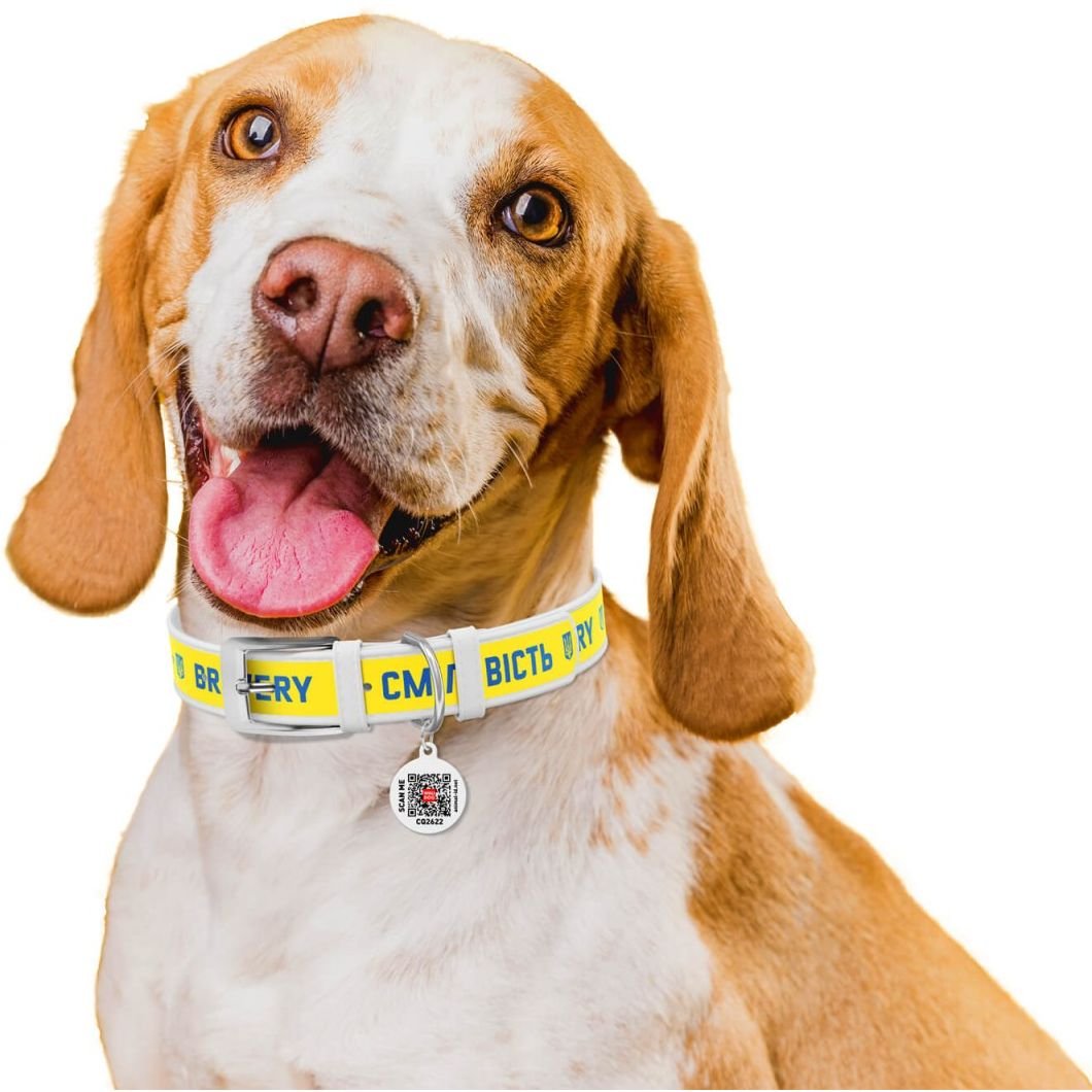 Ошейник для собак Waudog Design Смелость, кожаный, с QR паспортом, М, 30-39х2 см, белый - фото 4