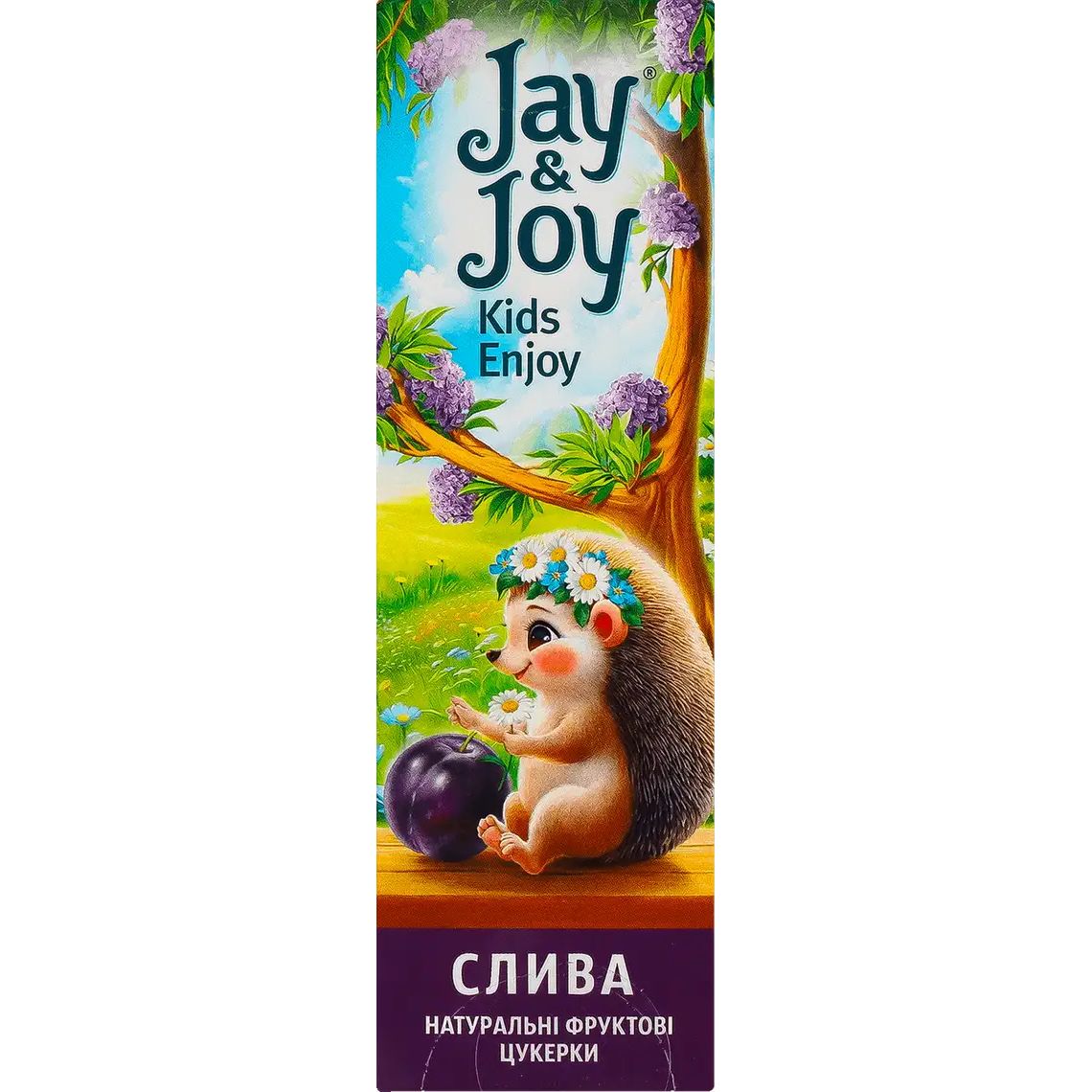 Конфеты фруктовые Jay&Joy Слива 32 г - фото 1