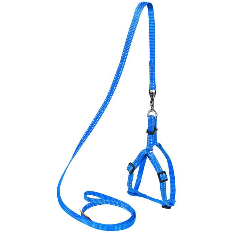 Шлея для собак з повідцем Dog Extremе, регульована, нейлон, 40-55х1,5/115 см, блакитний (7032) - фото 1