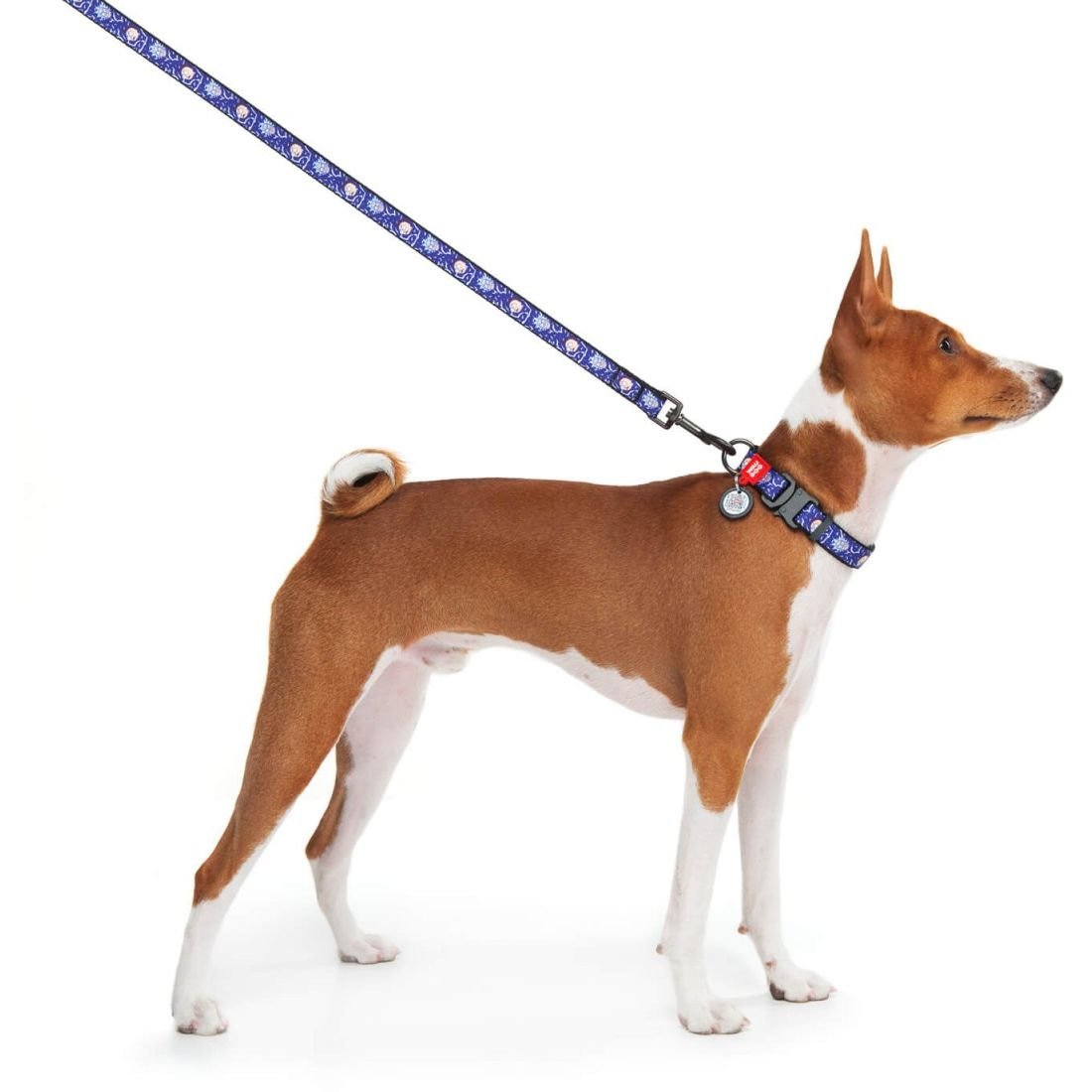 Повідець для собак Waudog Nylon Рік та Морті 2, S, 122х1,5 см, різнокольоровий - фото 3
