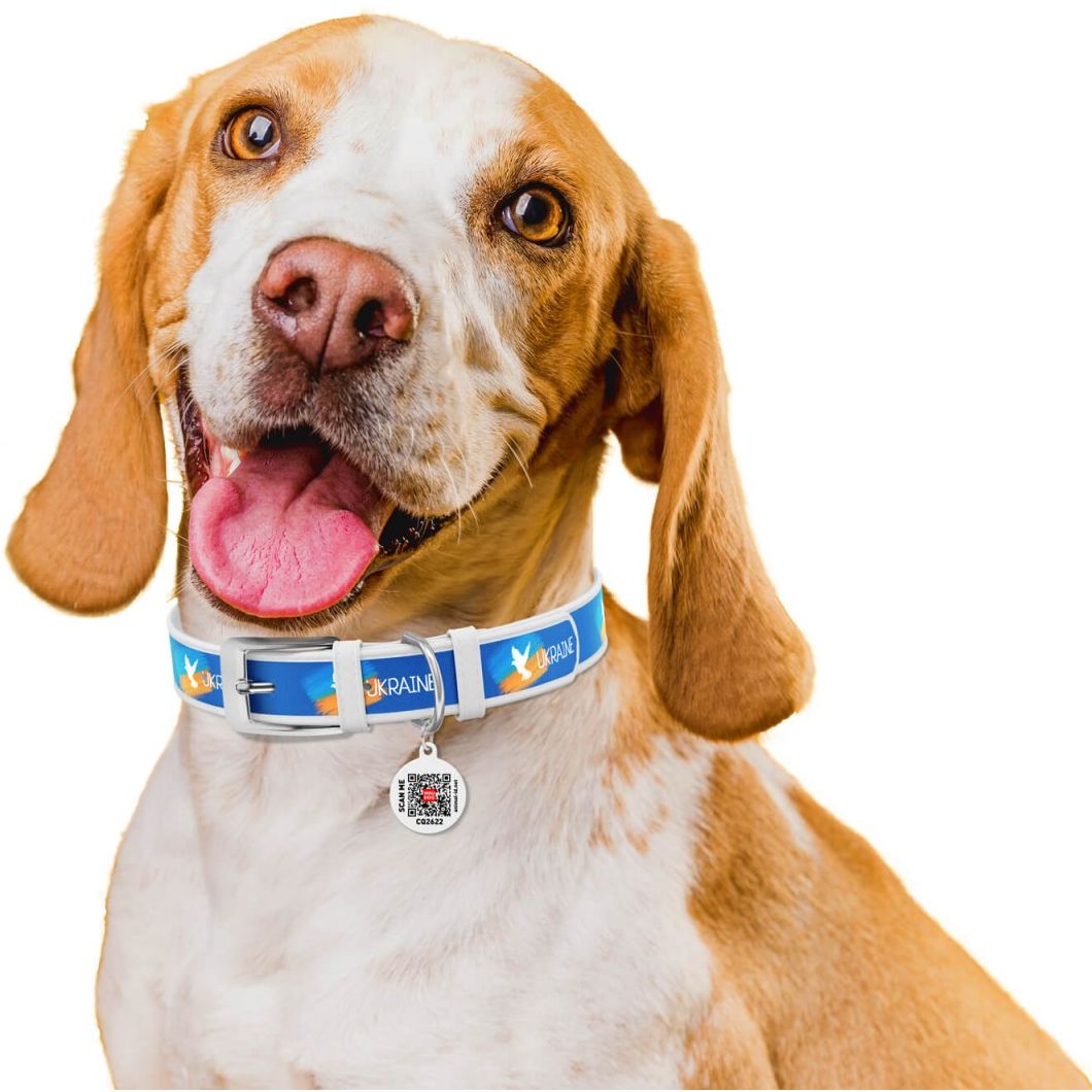Ошейник для собак Waudog Design Флаг, кожаный, с QR паспортом, XS, 21-29х1,2 см, белый - фото 4