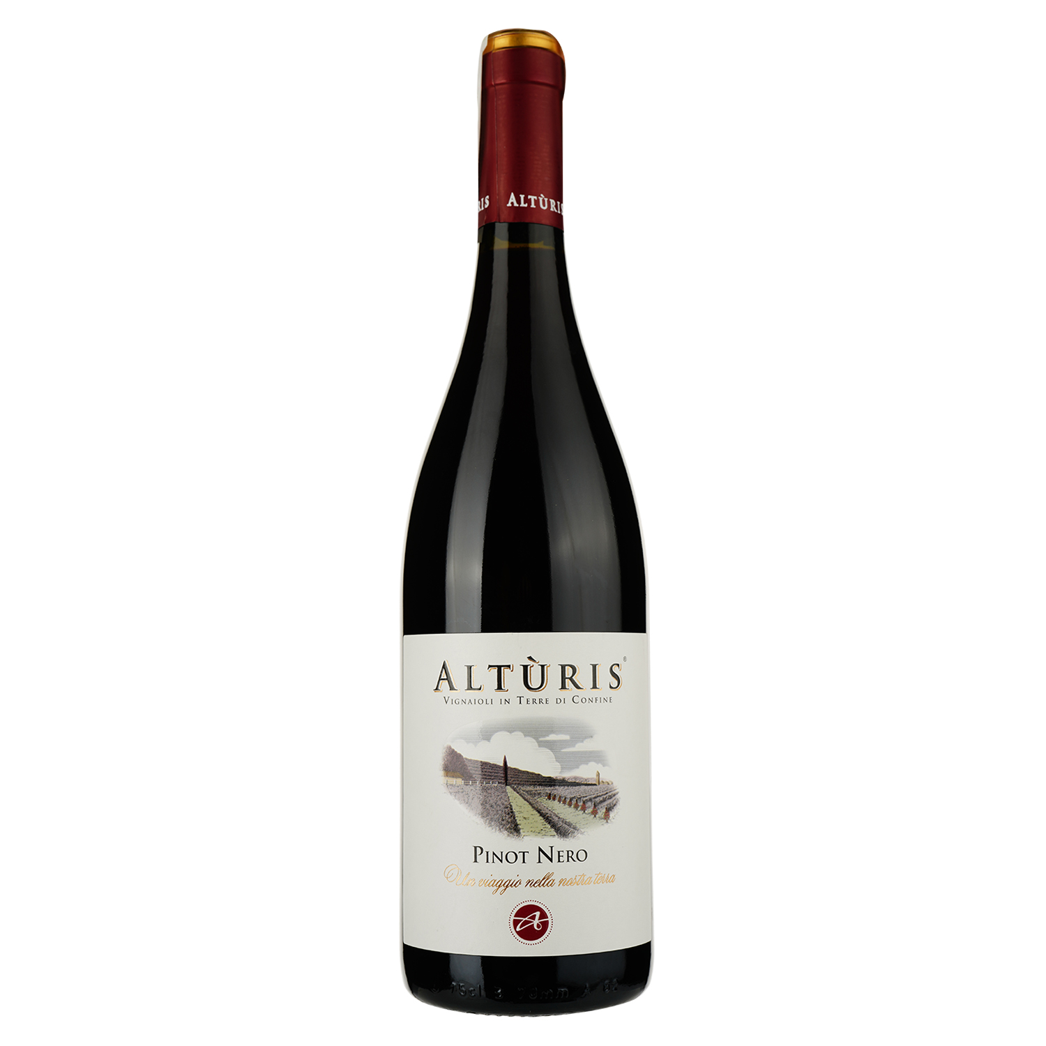 Вино Alturis Pinot Nero, красное, сухое, 0,75 л (ALR15750) - фото 1