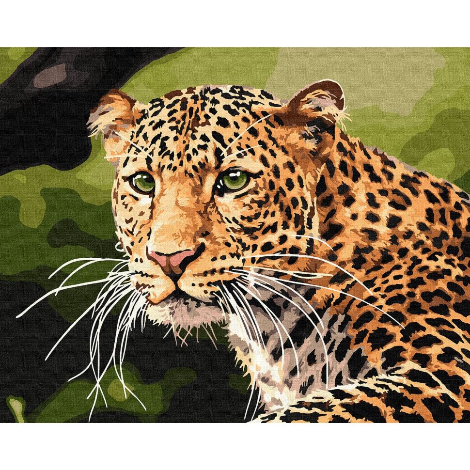 Картина за номерами Ideyka Зеленоокий леопард KHO4322 40х50 см - фото 1