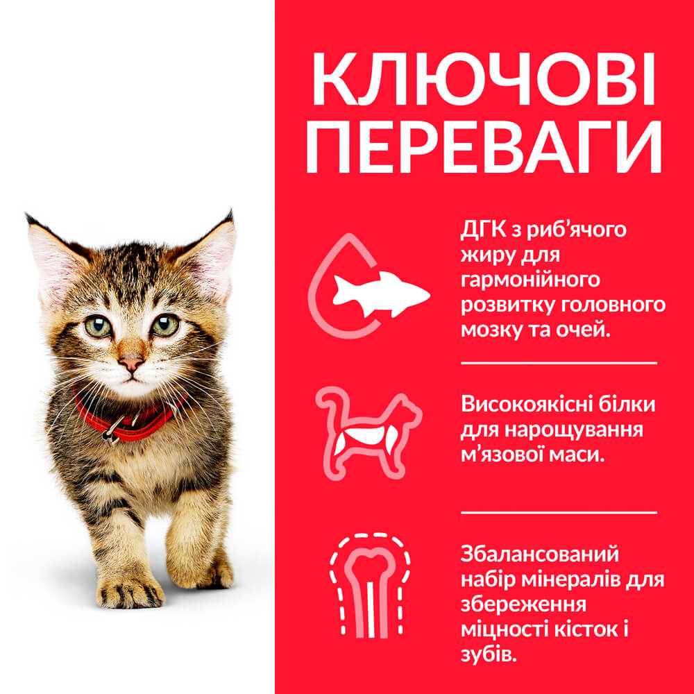 Сухий корм кошенят Hill's Science Plan Kitten, з куркою, 3 кг (604049) - фото 4