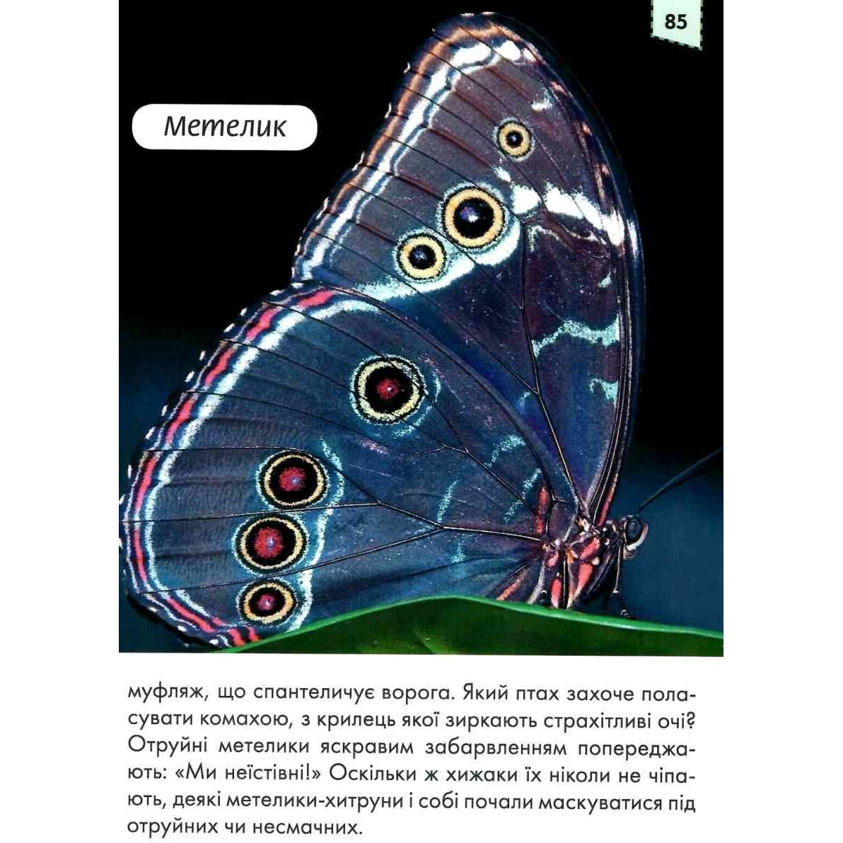 Енциклопедія для допитливих Талант Мами та малюки - Цеханська О. Ф. (9786176951025) - фото 10