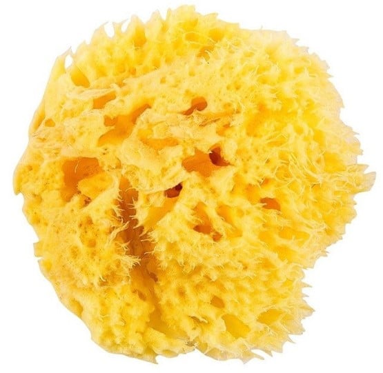 Натуральная губка для ванны OK Baby Honeycomb sea sponge, р.12, желтый (38471200) - фото 1