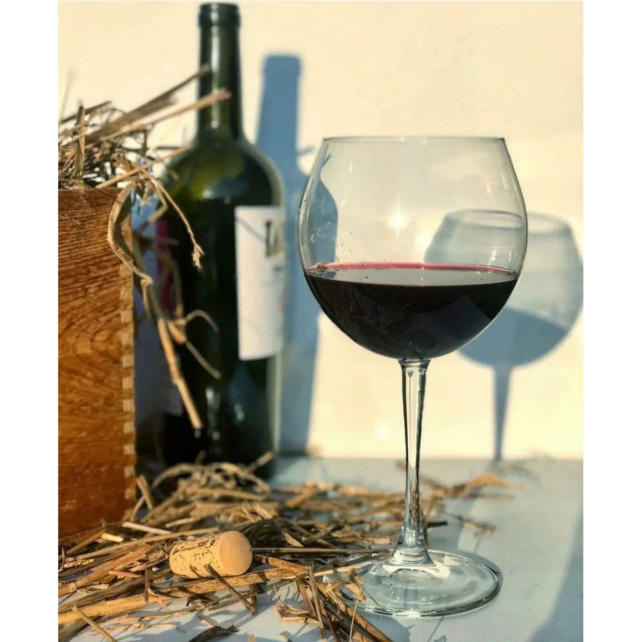 Набор бокалов для вина Pasabahce Enoteca, 655 мл, 2 шт. (44238-2) - фото 2