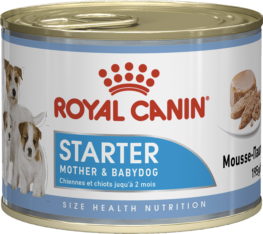 Вологий корм для вагітних собак і цуценят Royal Canin Starter Мother & Вabydog Мousse, м'ясо зі злаками, 195 г - фото 1