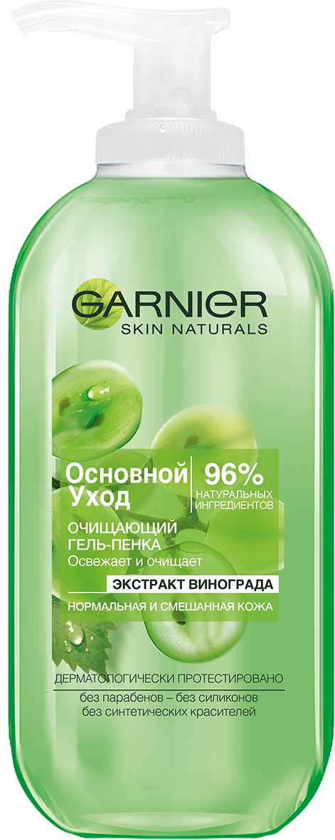 Гель-пенка для умывания Garnier Skin Naturals Основной уход 200 мл (C5814100) - фото 1