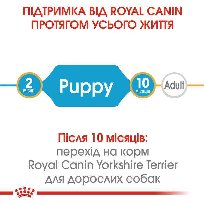 Сухий корм для цуценят породи Йоркширський Тер'єр Royal Canin Yorkshire Terrier Puppy, 7,5 кг (39720751) - фото 8