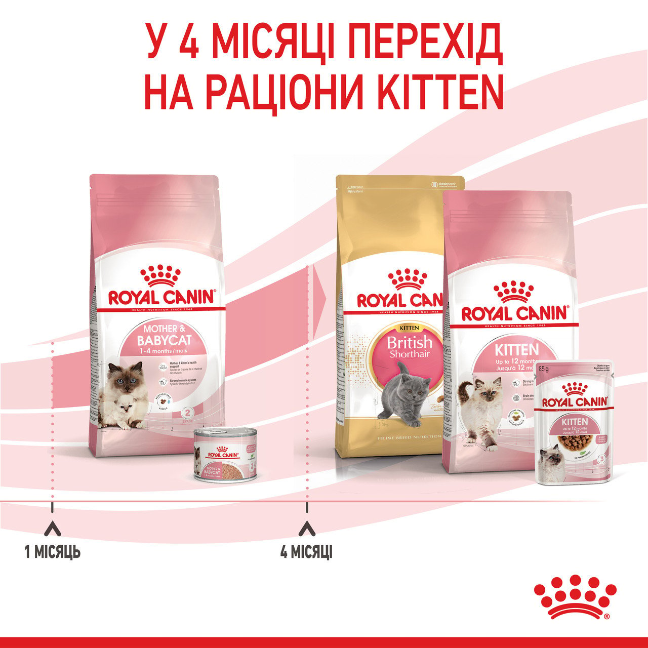Сухой корм для котят Royal Canin Mother and Babycat, мясо птицы и рис, 0,4 кг - фото 7