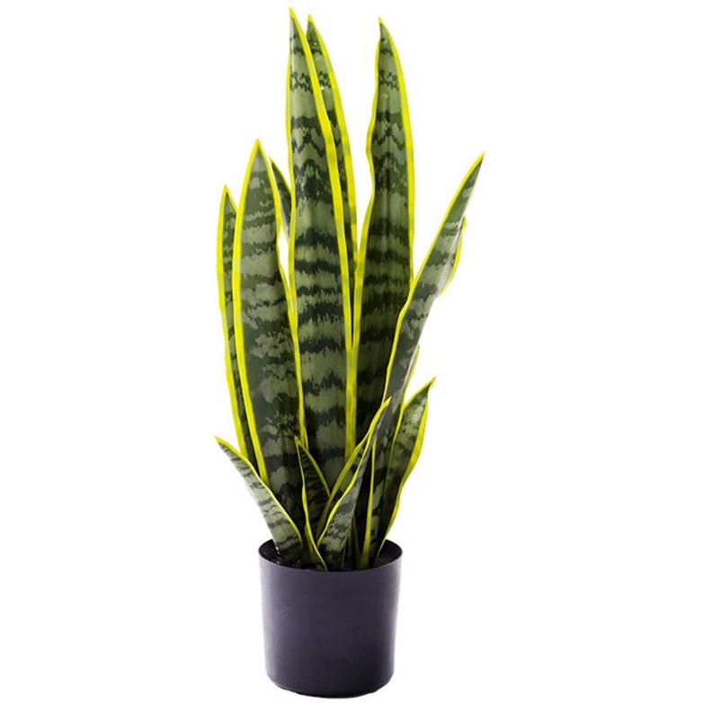 Искусственное растение Engard Sansevieria 57 см (TW-43) - фото 1