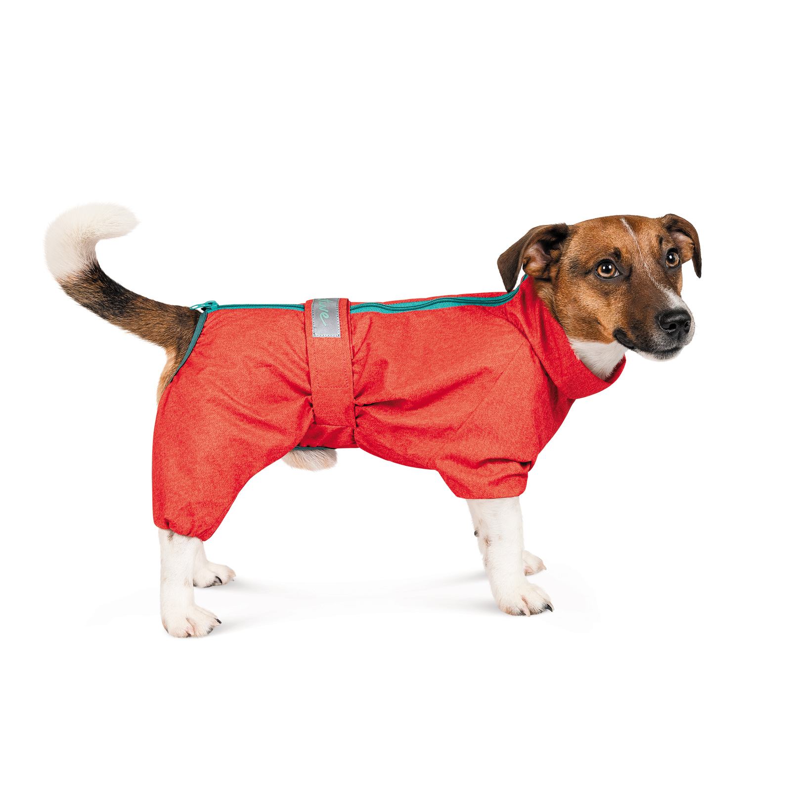 Дощовик для собак Pet Fashion Rain для такс розмір M червоний - фото 2