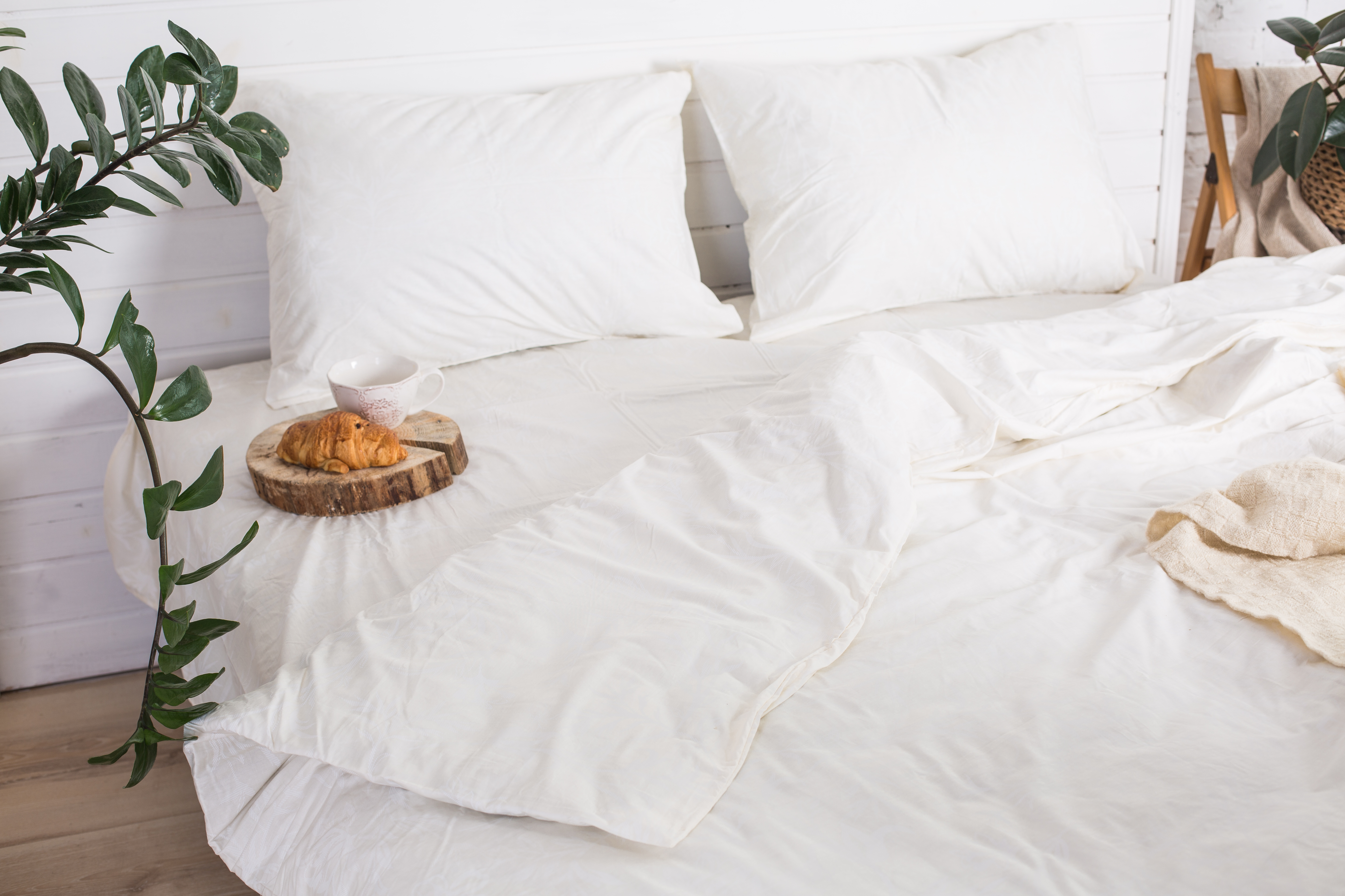 Комплект постельного белья Ecotton твил-сатин, полуторный, 210х147 см, White (19580) - фото 1