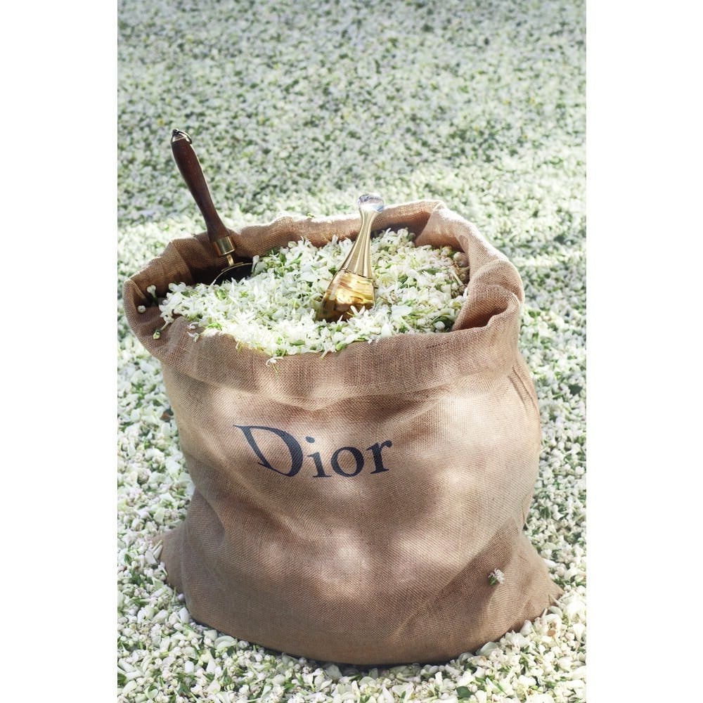 Парфюмированная вода Dior J'adore, 50 мл (23802) - фото 6