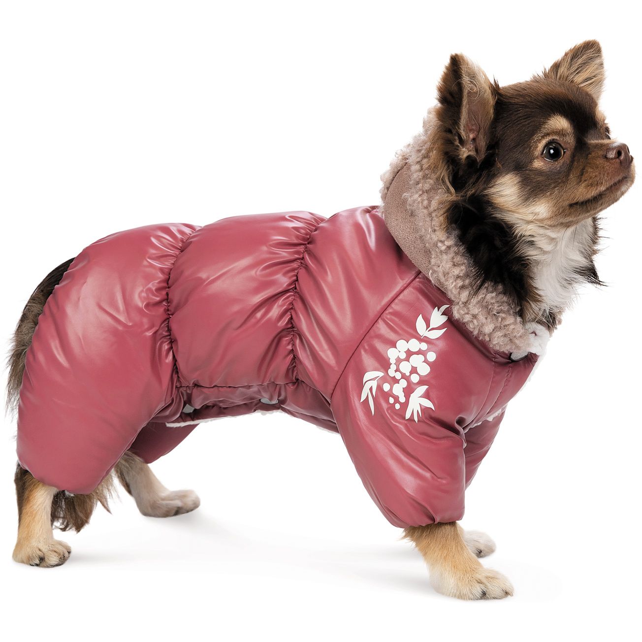 Комбинезон для собак Pet Fashion Cherry XL бордовый - фото 3