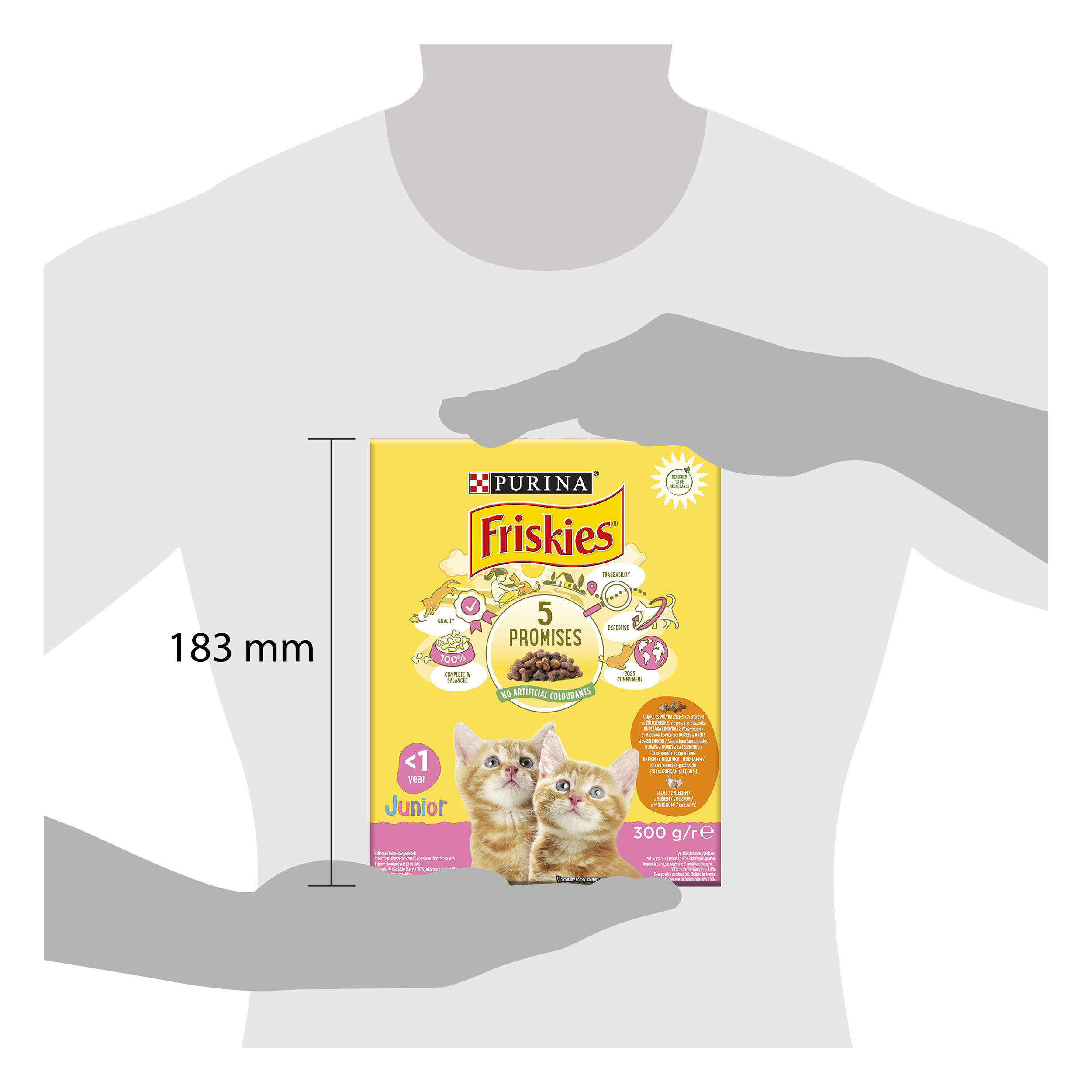 Сухой корм для котят Friskies Junior, с курицей, молоком и овощами, 300 г - фото 2