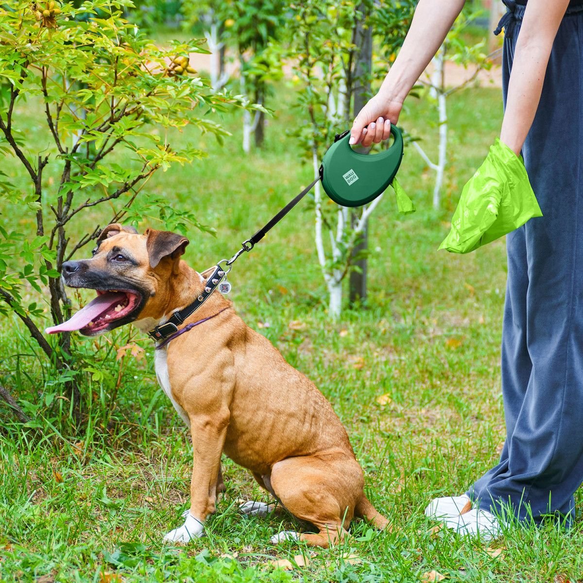 Повідець-рулетка для собак Waudog R-leash з контейнером для пакетів, світловідбивна стрічка L до 40 кг, 5 м зелений - фото 10