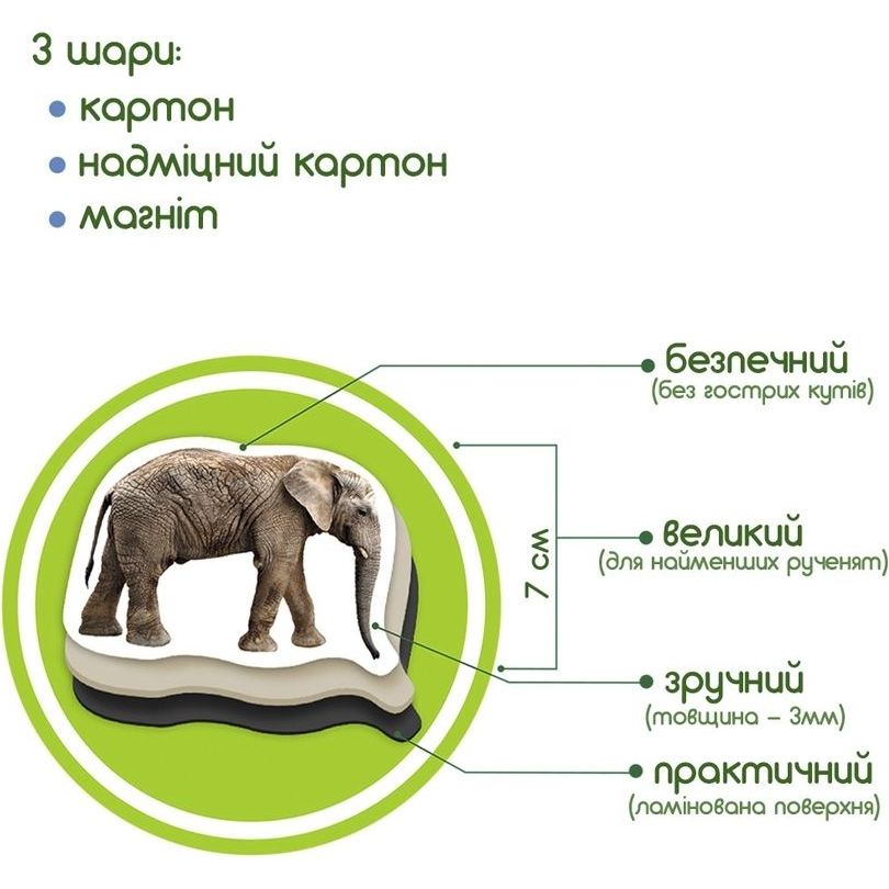 Набір магнітів Magdum Зоо 19 шт. ML4031-02 EN  - фото 5
