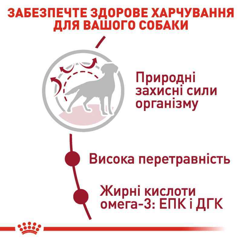 Сухой корм для взрослых собак средних пород Royal Canin Medium Adult, 1 кг (3004100) - фото 5