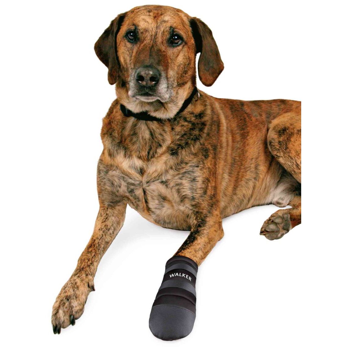 Ботинки для собак Trixie Walker Care полиэстер, XXL, 2 шт., черные - фото 4