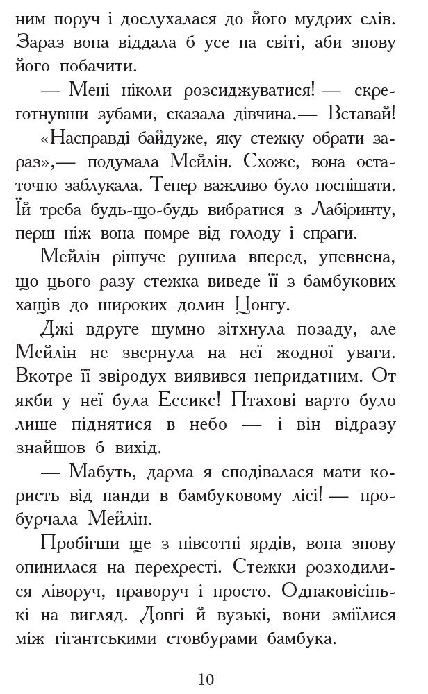 Звіродухи. Кревні узи. Книга 3 - Гарт Нікс (Ч685003У) - фото 8