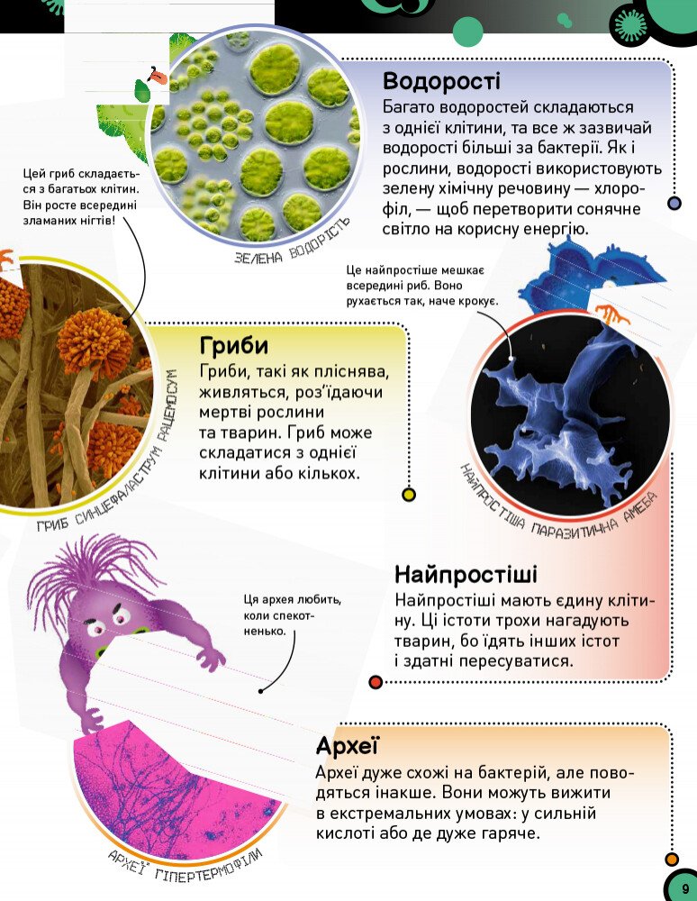 Книга Ранок Небачені бактерії. Зухвалі бацили, підступні віруси та хитрі гриби - Стів Молд (Н902036У) - фото 7