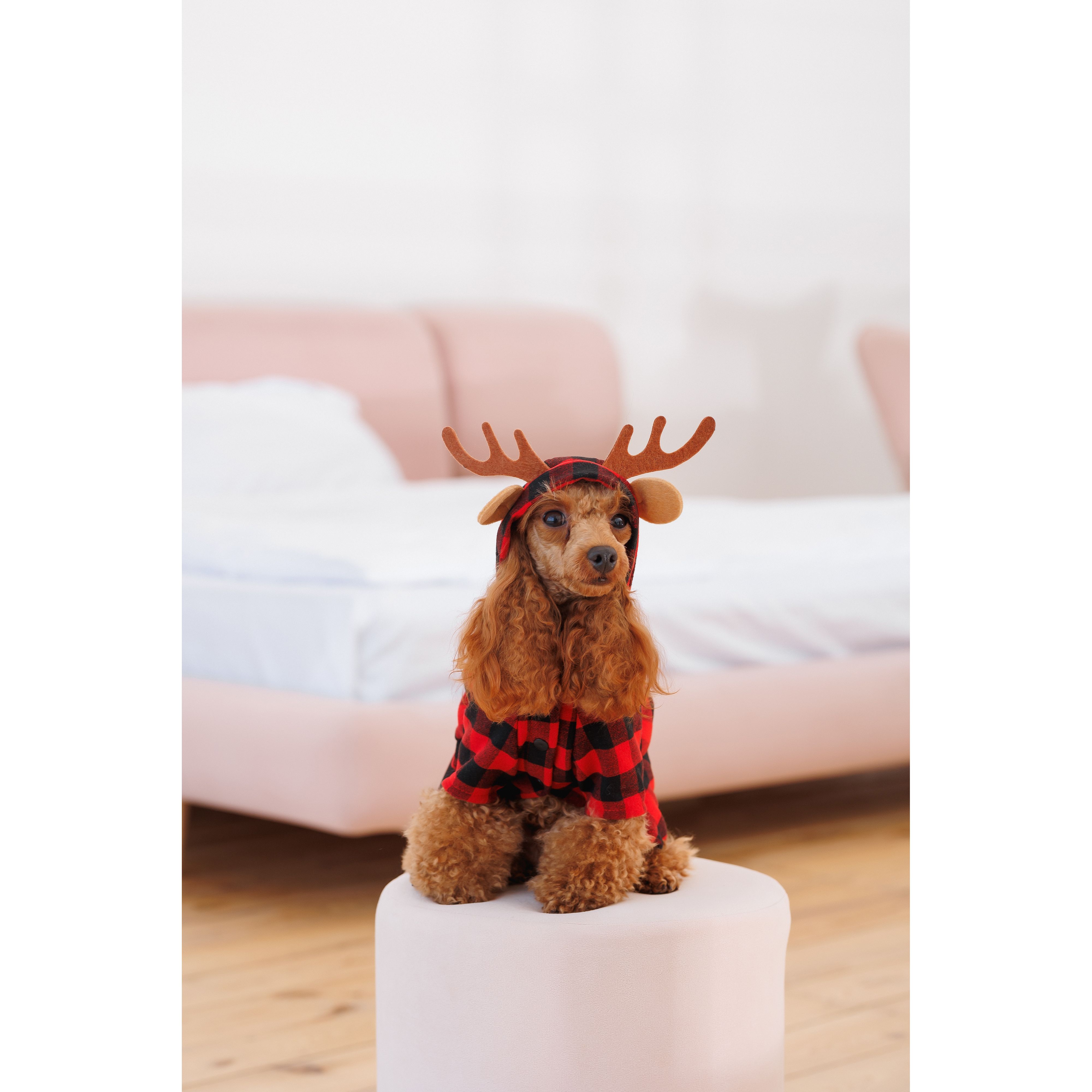 Костюм для собак Pet Fashion Xmas XS2 червоний - фото 6