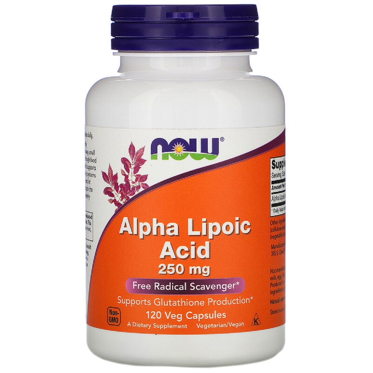 Альфа-ліпоєва кислота Now Foods Alpha Lipoic Acid 250 мг 120 капсул - фото 1