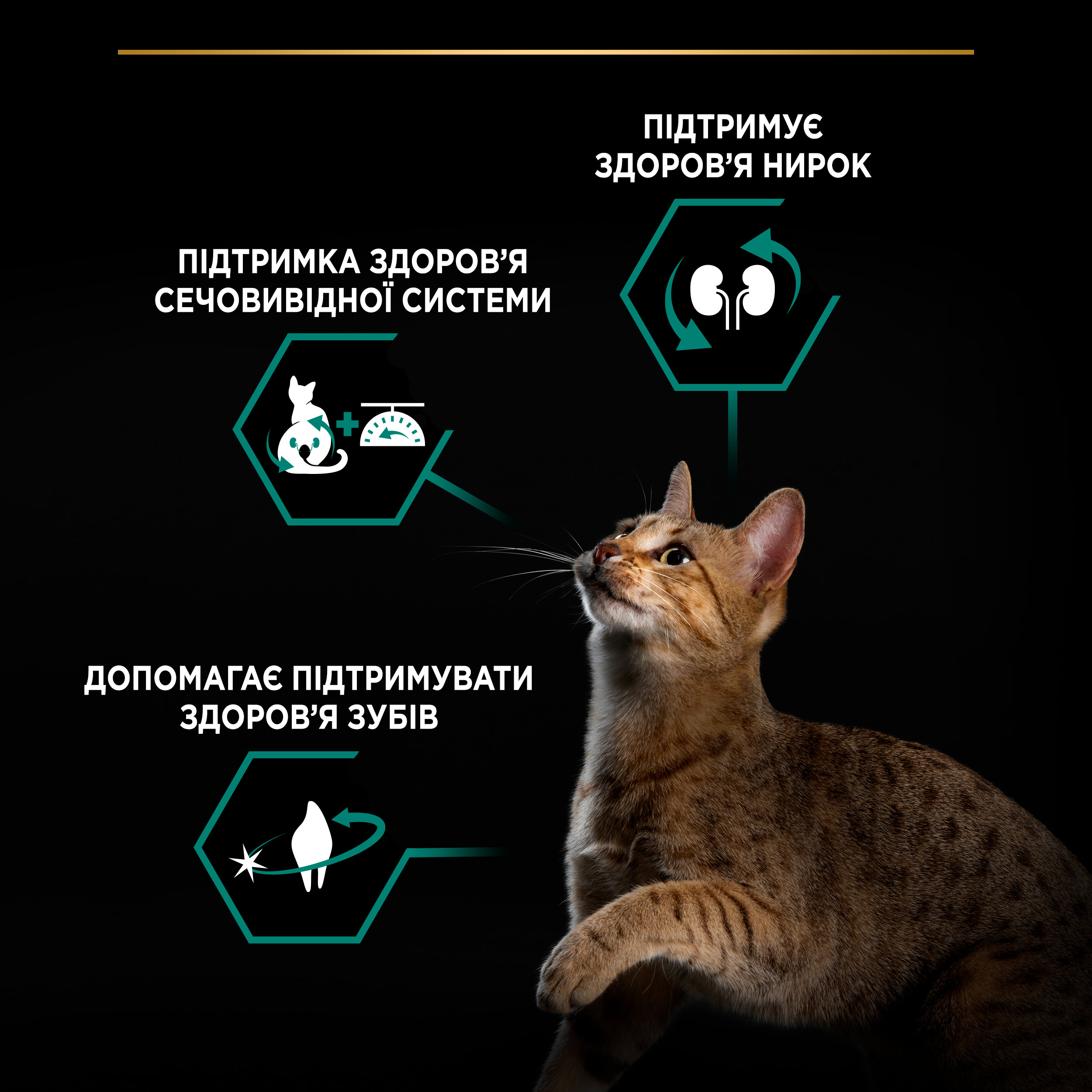 Сухой корм для стерилизованных кошек Purina Pro Plan Sterilised Adult 1+ Renal Plus с индейкой 3 кг (12369078) - фото 6