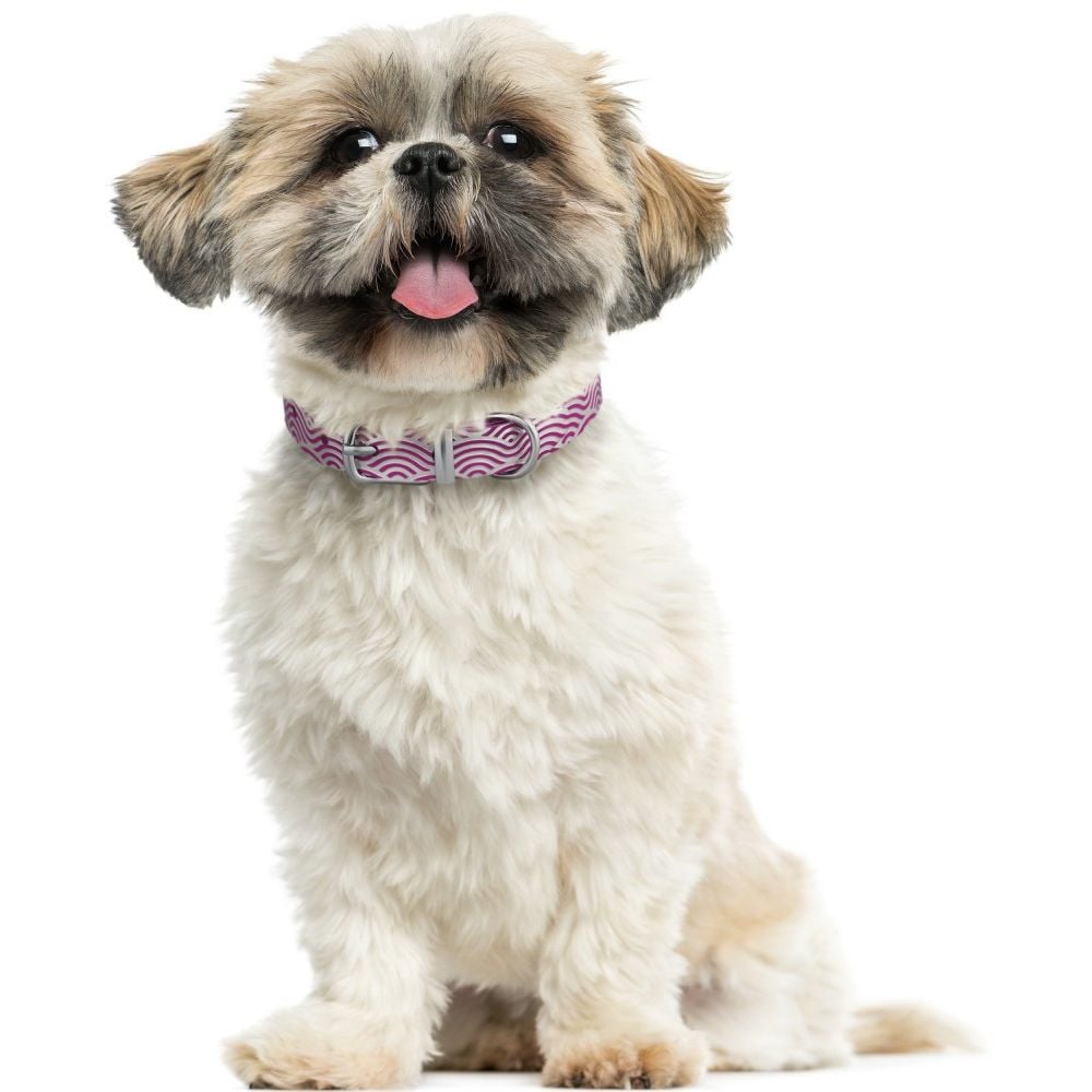 Ошейник для собак BronzeDog Barksi Classic Волна кожаный одинарный с серебряным тиснением 28-36х1.7 см розовый - фото 6