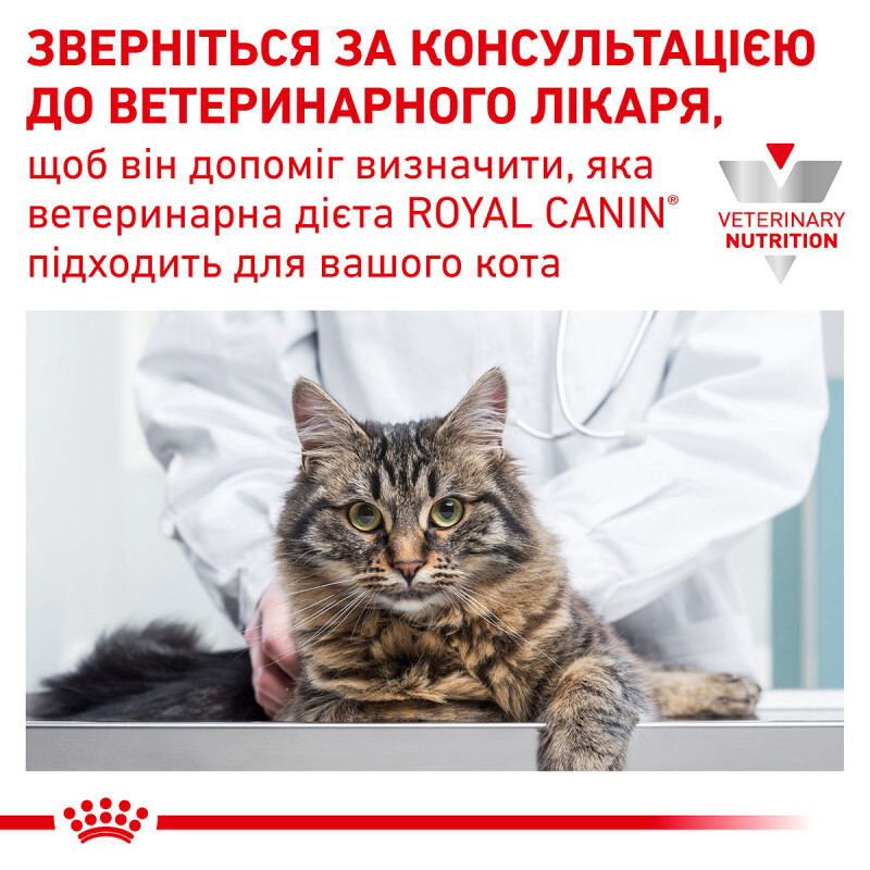 Сухий дієтичний корм Royal Canin Skin&Coat для кішок після стерилізації при дерматозі та випадінні шерсті, 3,5 кг (1323035) - фото 9