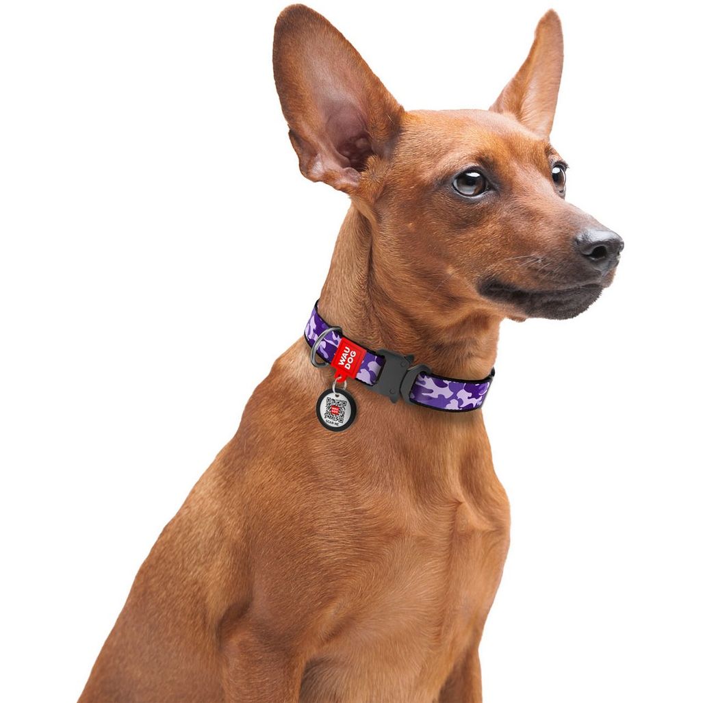 Ошейник для собак Waudog Nylon Фиолетовый камо, c QR паспортом, металлическая пряжка-фастекс, 35-58х2,5 см - фото 5